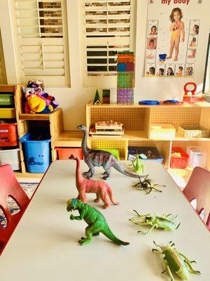 Hidden Hills Wonderschool