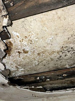 Openworld Properties