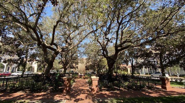 Savannah Square