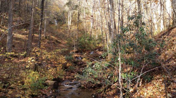 Enota Mountain Retreat