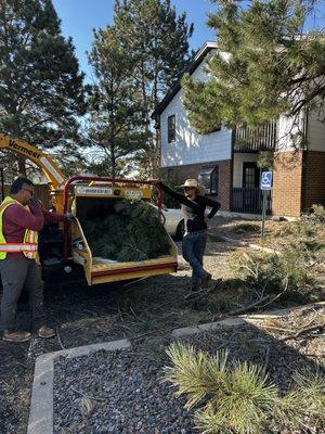 Plus Ultra Landscape and Haul Off