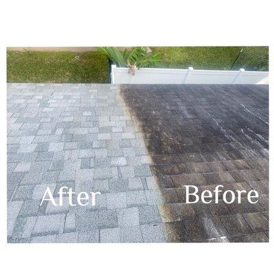 Reliant Roof Cleaning & Pressure Washing