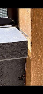 GE Goliath Exteriors