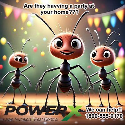 PowerX Pest Control