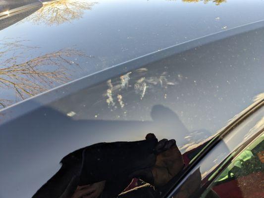 Town & County Automotive