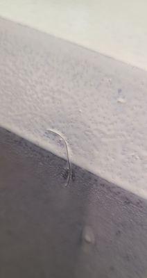 Porter Drywall & Painting