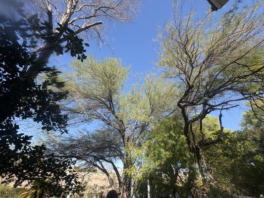 Second Choice Irrigation & Tree's