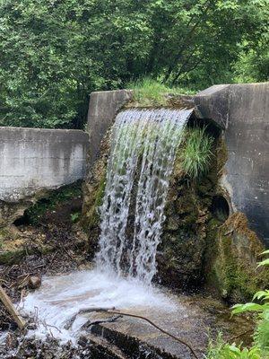 Paradise Springs Nature Center