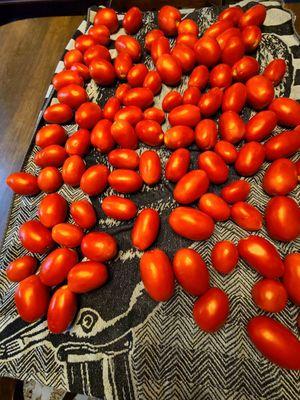 Darling’s Farms & Greenhouses