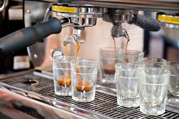 Sky Mountain Coffee