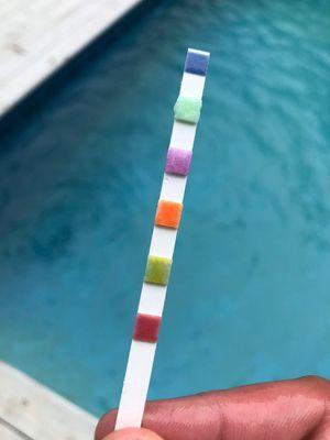 Hamptons Pool Company Hamptons Pool Maintenance