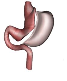 Jaso MD Surgical Practice