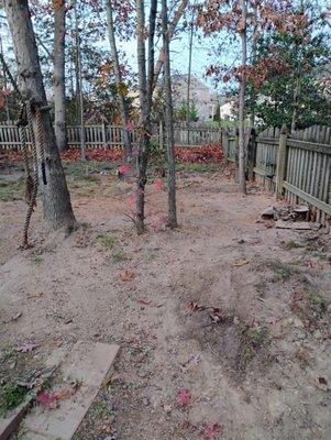 Countrys Property Enhancements