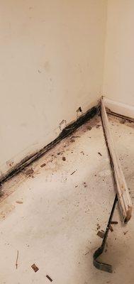 The Summit at Duncan Meadows