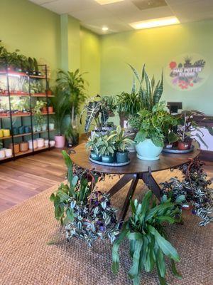 The Mad Potter Studio