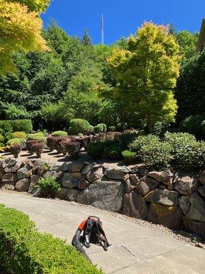 Sandoval Landscaping and More