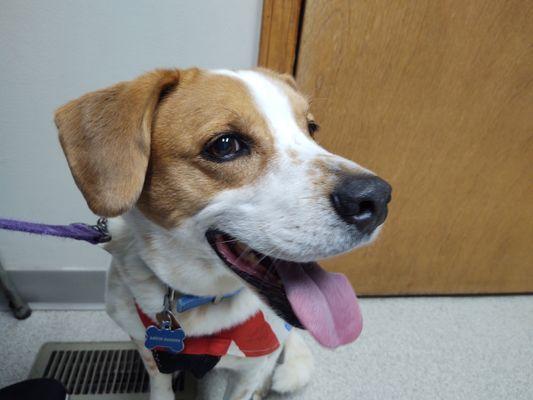 Mishawaka Animal Care Center