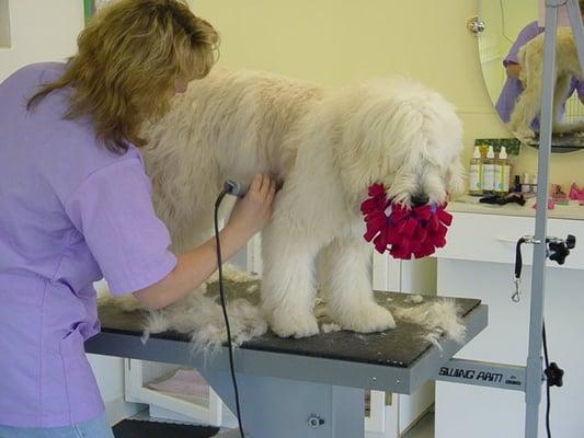 Trim time - My favorite thing!