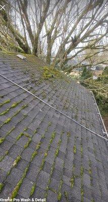 Xtreme Pro Wash & Detail