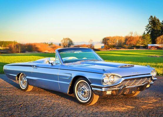 Trueline Autobody & Restoration