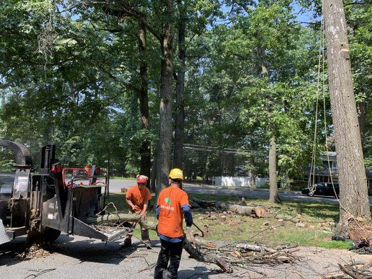 Happy Trees Services