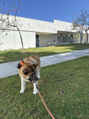 Zelda posing in front.