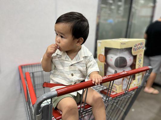 Costco Wholesale