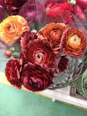 Incredible ranunculus at Fleurametz! No one else had these in these colors.