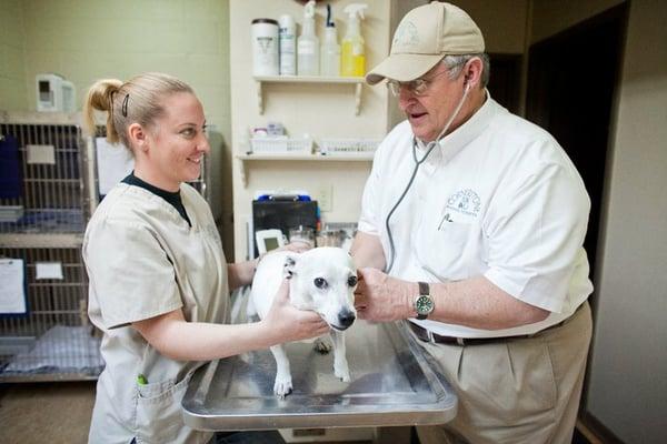 Cornerstone Animal Hospital