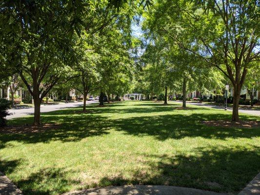 Faulkner Square Park