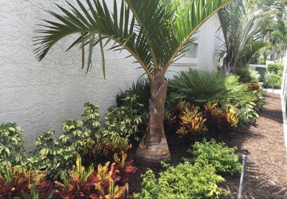 Apopka Landscaping & Pavers
