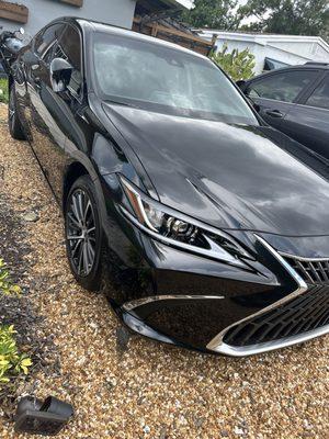 Madelinea's Services