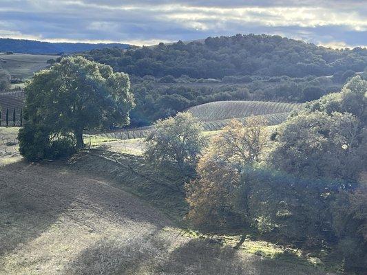 The Pesenti ranch on Live Oak Rd., Paso Robles. Almost 35 acres in the heart of wine country with 2 unique homes.