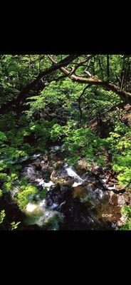 Celeste Neuromuscular Massage Therapy