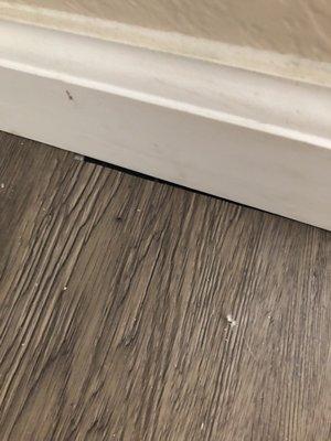 We Floor You