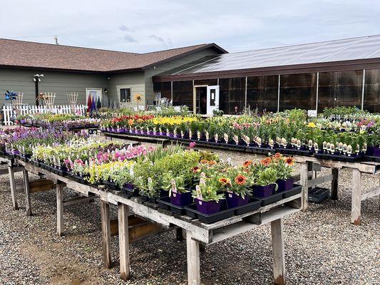 Sherwood Florist and Garden Center