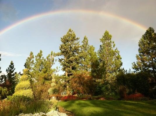 Barbara Safranek Landscape Design