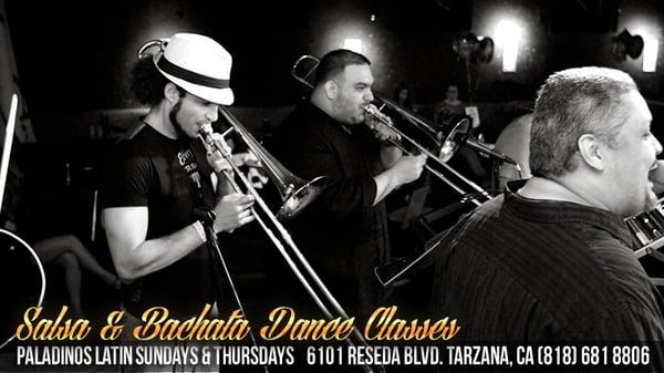 Live Salsa Bands bring an amazing energy