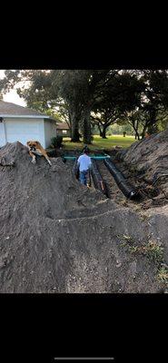 Daisy inspecting our work.
