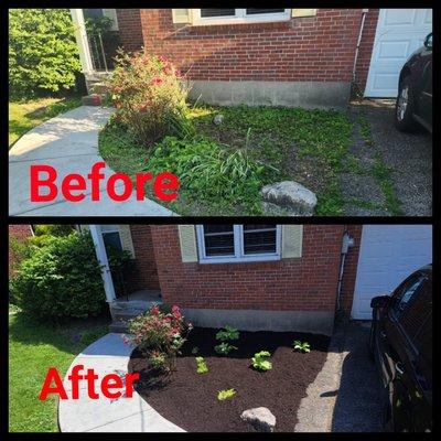 Vasquez Tree service & landscaping