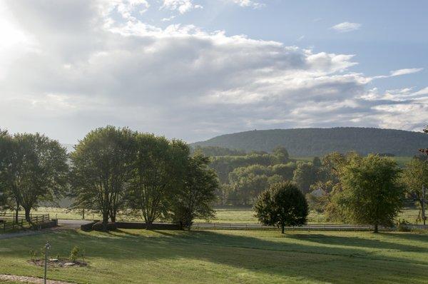 view from front porch