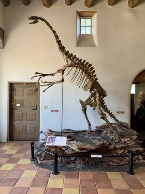 Therizinosaur, Graffam's Sloth-Claw Dinosaur, Nothronychus graffami, Tropic Shale, southern Utah, Late Cretaceous