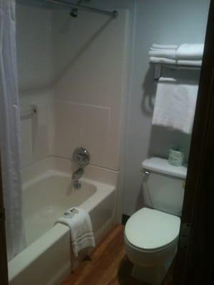 Bathroom - shower & throne