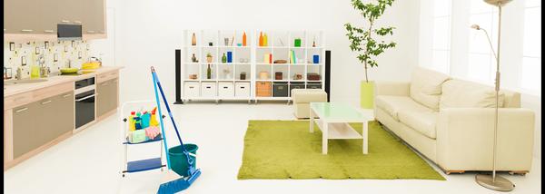 Royalty Multi Cleaning Service