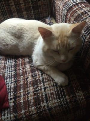 Your host- Robert Parker