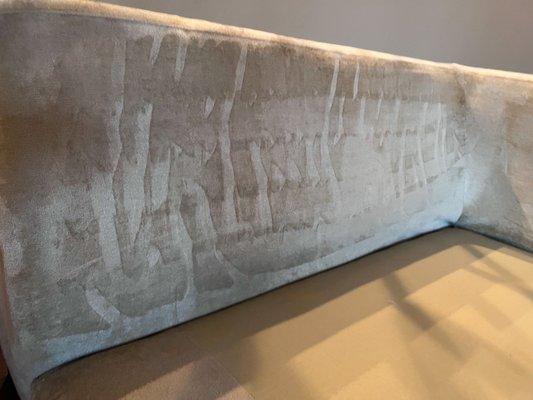 All Green Carpet Cleaning