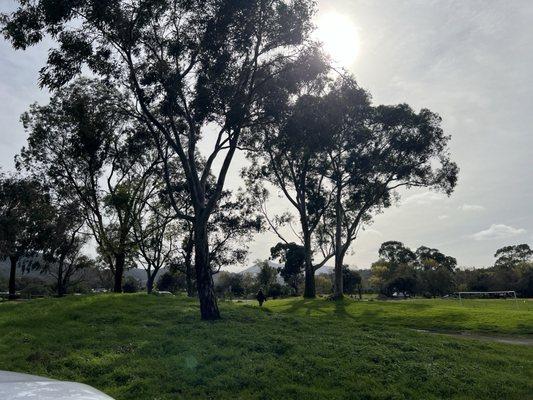 Suns out Take a walk