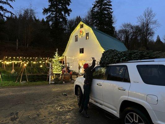 Danielle gave everyone who bought or sold a home with her over the past year a voucher for a live tree from a local farm for the holidays