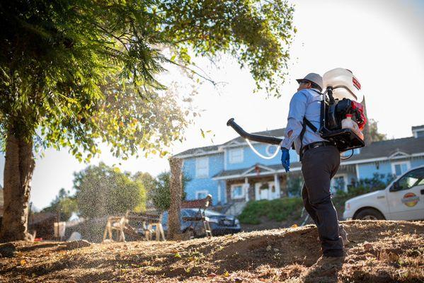 Suncoast Pest Management