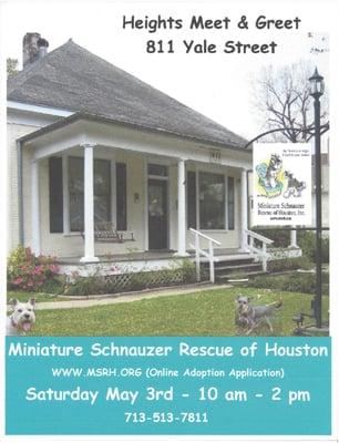Miniature Schnauzer Rescue of Houston, Inc.